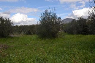 Land plot 1.950 sqm for sale, Preveza Prefecture, Preveza-thumb-5