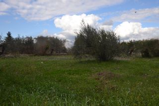 Land plot 1.950 sqm for sale, Preveza Prefecture, Preveza-thumb-6