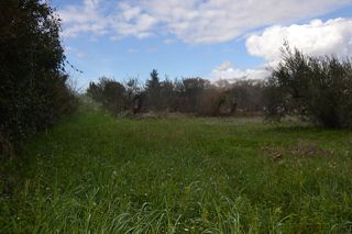 Land plot 1.950 sqm for sale, Preveza Prefecture, Preveza-thumb-7