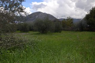 Land plot 1.950 sqm for sale, Preveza Prefecture, Preveza-thumb-8
