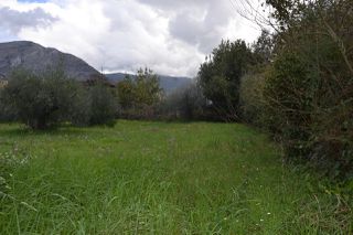 Land plot 1.950 sqm for sale, Preveza Prefecture, Preveza-thumb-9
