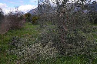 Land plot 1.950 sqm for sale, Preveza Prefecture, Preveza-thumb-10
