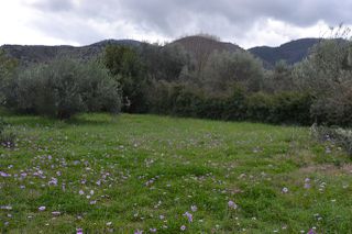 Land plot 1.950 sqm for sale, Preveza Prefecture, Preveza-thumb-11
