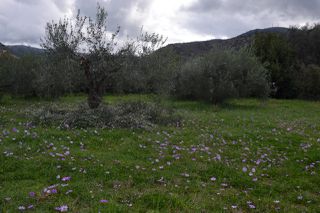 Land plot 1.950 sqm for sale, Preveza Prefecture, Preveza-thumb-12