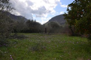 Land plot 1.950 sqm for sale, Preveza Prefecture, Preveza-thumb-15