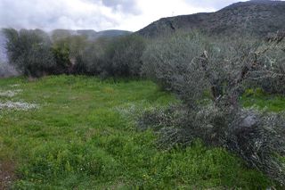 Land plot 1.950 sqm for sale, Preveza Prefecture, Preveza-thumb-16