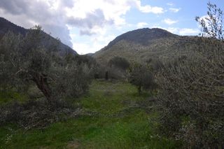 Land plot 1.950 sqm for sale, Preveza Prefecture, Preveza-thumb-17