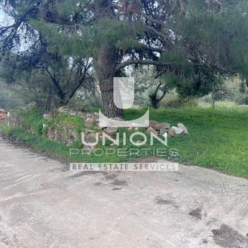 Οικόπεδο 500 τ.μ. για πώληση