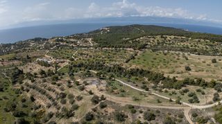 Αγροτεμάχια 6.000 τ.μ. για πώληση, Αργολίδα, Κρανίδι-thumb-17