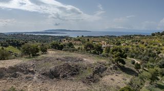 Αγροτεμάχια 6.000 τ.μ. για πώληση, Αργολίδα, Κρανίδι-thumb-5