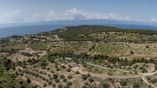 Αγροτεμάχια 6.000 τ.μ. για πώληση, Αργολίδα, Κρανίδι-thumb-16