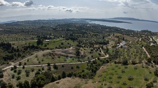 Αγροτεμάχια 6.000 τ.μ. για πώληση, Αργολίδα, Κρανίδι-thumb-24