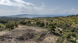Αγροτεμάχια 6.000 τ.μ. για πώληση, Αργολίδα, Κρανίδι-thumb-18