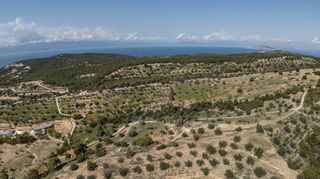 Αγροτεμάχια 6.000 τ.μ. για πώληση, Αργολίδα, Κρανίδι-thumb-20