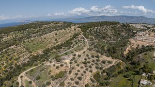 Αγροτεμάχια 6.000 τ.μ. για πώληση, Αργολίδα, Κρανίδι-thumb-22