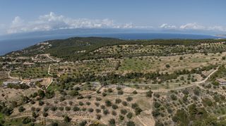 Αγροτεμάχια 6.000 τ.μ. για πώληση, Αργολίδα, Κρανίδι-thumb-12