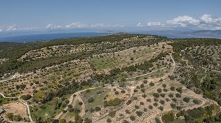 Αγροτεμάχια 6.000 τ.μ. για πώληση, Αργολίδα, Κρανίδι-thumb-15