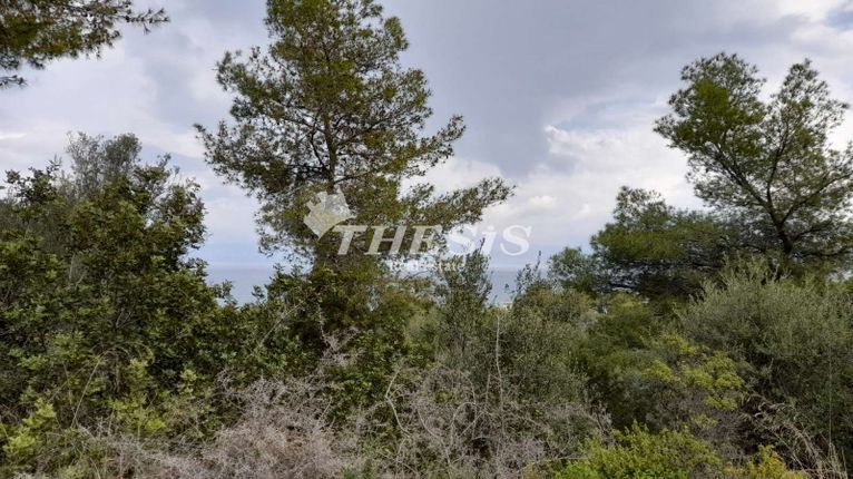 Οικόπεδο 1.072 τ.μ. για πώληση, Φθιώτιδας, Μαλεσίνα