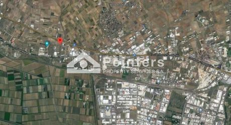 Αγροτεμάχια 7.350 τ.μ. πρός πώληση