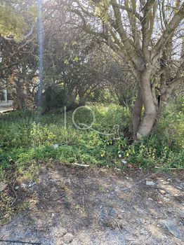 Οικόπεδο 428τ.μ. για πώληση-Κορωπί