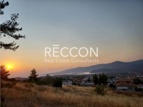 Land plot 6.000sqm for sale-Kranidi » Center