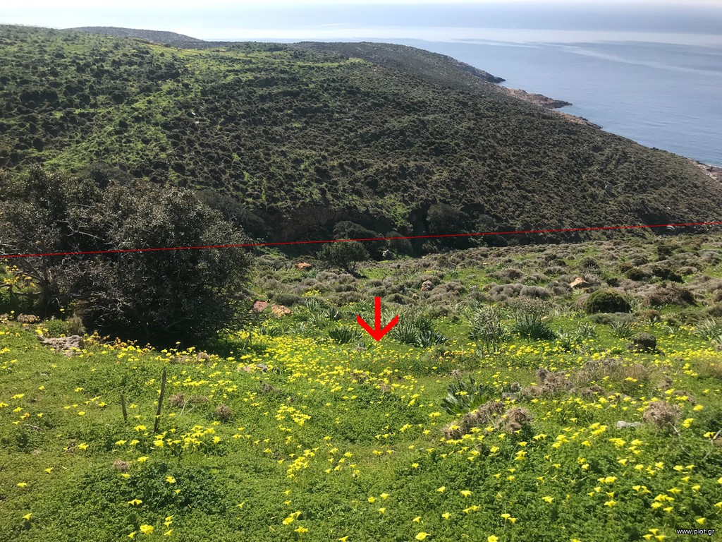 Οικόπεδο 16.777 τ.μ. πρός πώληση, Δωδεκάνησα, Λέρος