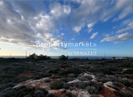 Land plot 8.000sqm for sale-Geropotamos » Center