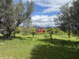 Οικόπεδο 1.286 τ.μ. προς πώληση, Τέμενη-thumb-1