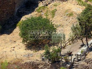 Οικόπεδο 402,51 τ.μ. προς πώληση, Αμάνη-thumb-22