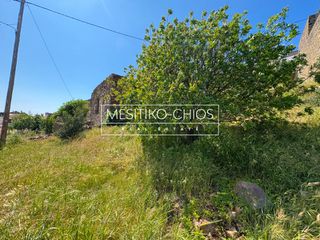 Οικόπεδο 402,51 τ.μ. προς πώληση, Αμάνη-thumb-24