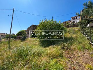 Οικόπεδο 402,51 τ.μ. προς πώληση, Αμάνη-thumb-6