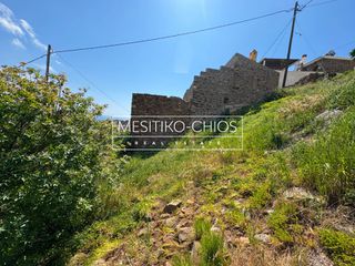 Οικόπεδο 402,51 τ.μ. προς πώληση, Αμάνη-thumb-5