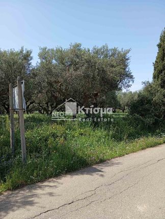 Αγροτεμάχια 5.309 τ.μ. για πώληση, Ν. Ηλείας, Πύργος