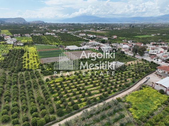 Αγροτεμάχια 6.765 τ.μ. για πώληση, Αργολίδα, Μιδέα