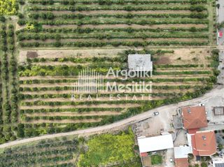 Αγροτεμάχια 6.765 τ.μ. για πώληση, Αργολίδα, Μιδέα-thumb-6
