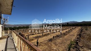 Αγροτεμάχια 6.765 τ.μ. για πώληση, Αργολίδα, Μιδέα-thumb-22
