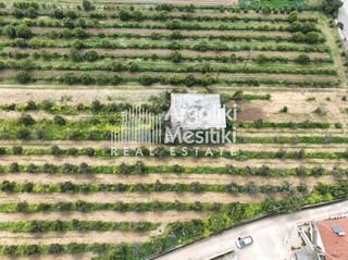 Αγροτεμάχια 6.765 τ.μ. για πώληση, Αργολίδα, Μιδέα-thumb-3