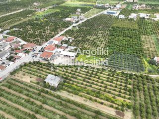 Αγροτεμάχια 6.765 τ.μ. για πώληση, Αργολίδα, Μιδέα-thumb-12