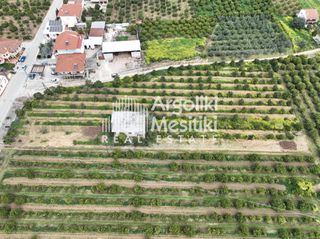 Αγροτεμάχια 6.765 τ.μ. για πώληση, Αργολίδα, Μιδέα-thumb-11