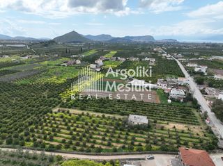 Αγροτεμάχια 6.765 τ.μ. για πώληση, Αργολίδα, Μιδέα-thumb-10