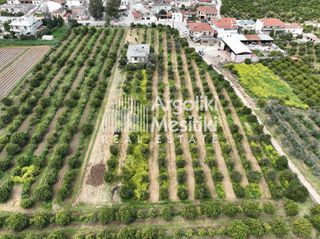 Αγροτεμάχια 6.765 τ.μ. για πώληση, Αργολίδα, Μιδέα-thumb-8