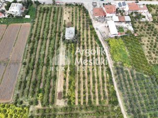 Αγροτεμάχια 6.765 τ.μ. για πώληση, Αργολίδα, Μιδέα-thumb-7