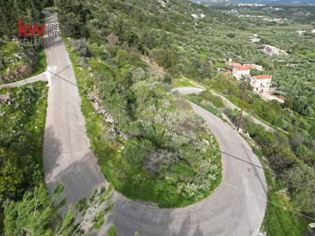 Οικόπεδο 11.530 τ.μ. για πώληση