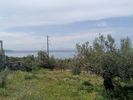 Μονοκατοικία 70τ.μ. για πώληση-Καλαμάτα » Κάτω βέργα