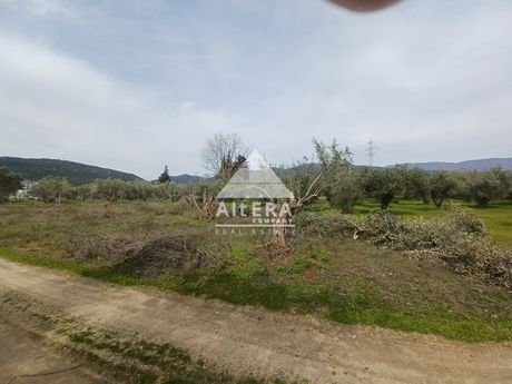 Αγροτεμάχια 793 τ.μ. για πώληση