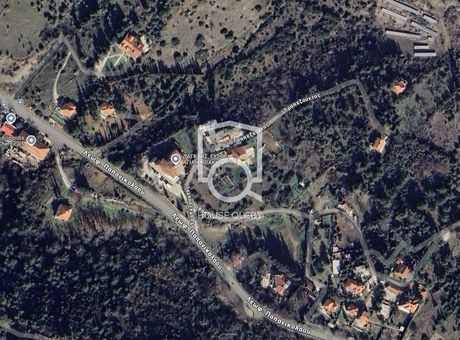Αγροτεμάχια 6.000 τ.μ. για πώληση