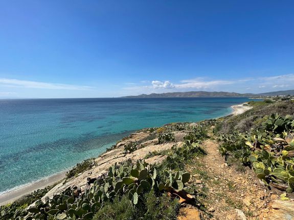 Οικόπεδο 12.500 τ.μ. για πώληση, Εύβοια, Κάρυστος