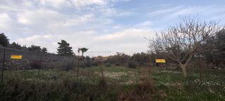 Αγροτεμάχια 1.017 τ.μ. για πώληση