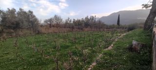 Αγροτεμάχια 1.017 τ.μ. για πώληση, Ν. Λευκάδας, Λευκάδα-thumb-2