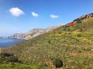 Οικόπεδο 22.251τ.μ. για πώληση-Λέρος » Χώρα